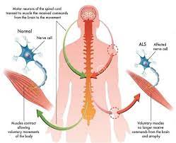 info-image