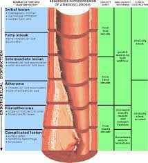 info-image