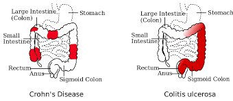 info-image