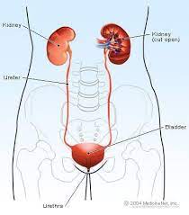 info-image