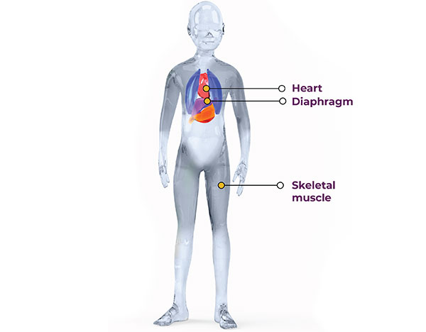 info-image