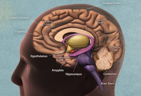 info-image