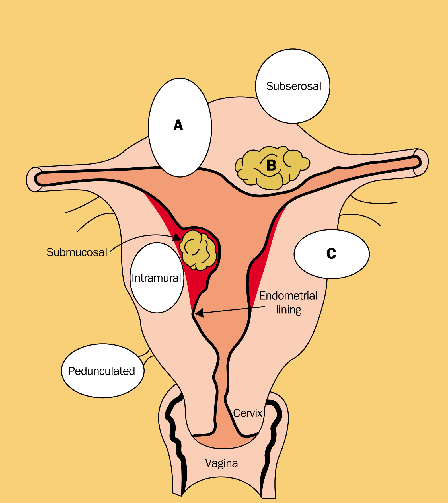 info-image