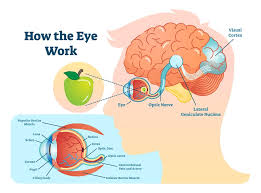 info-image