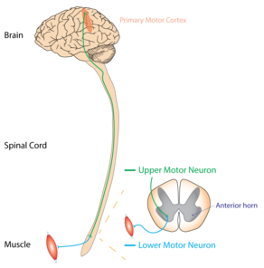 info-image