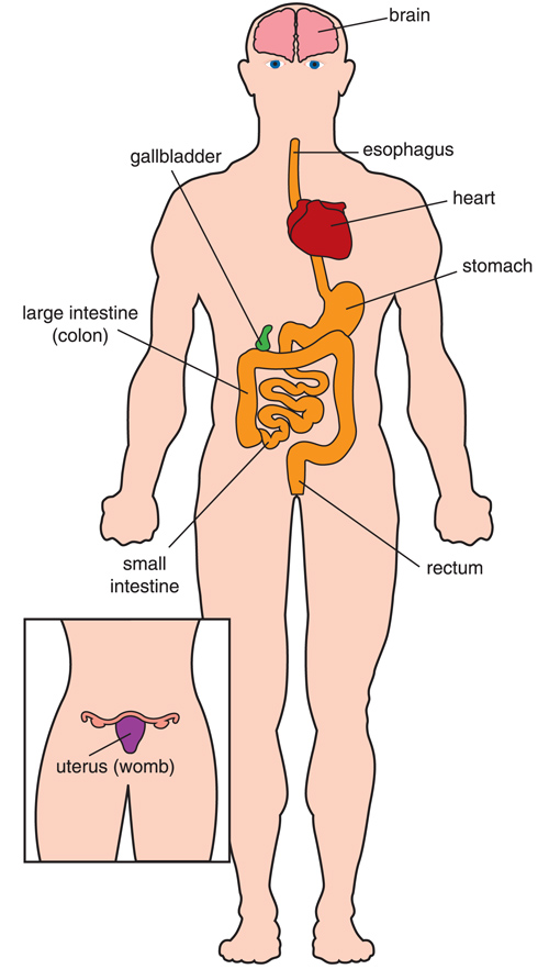 info-image