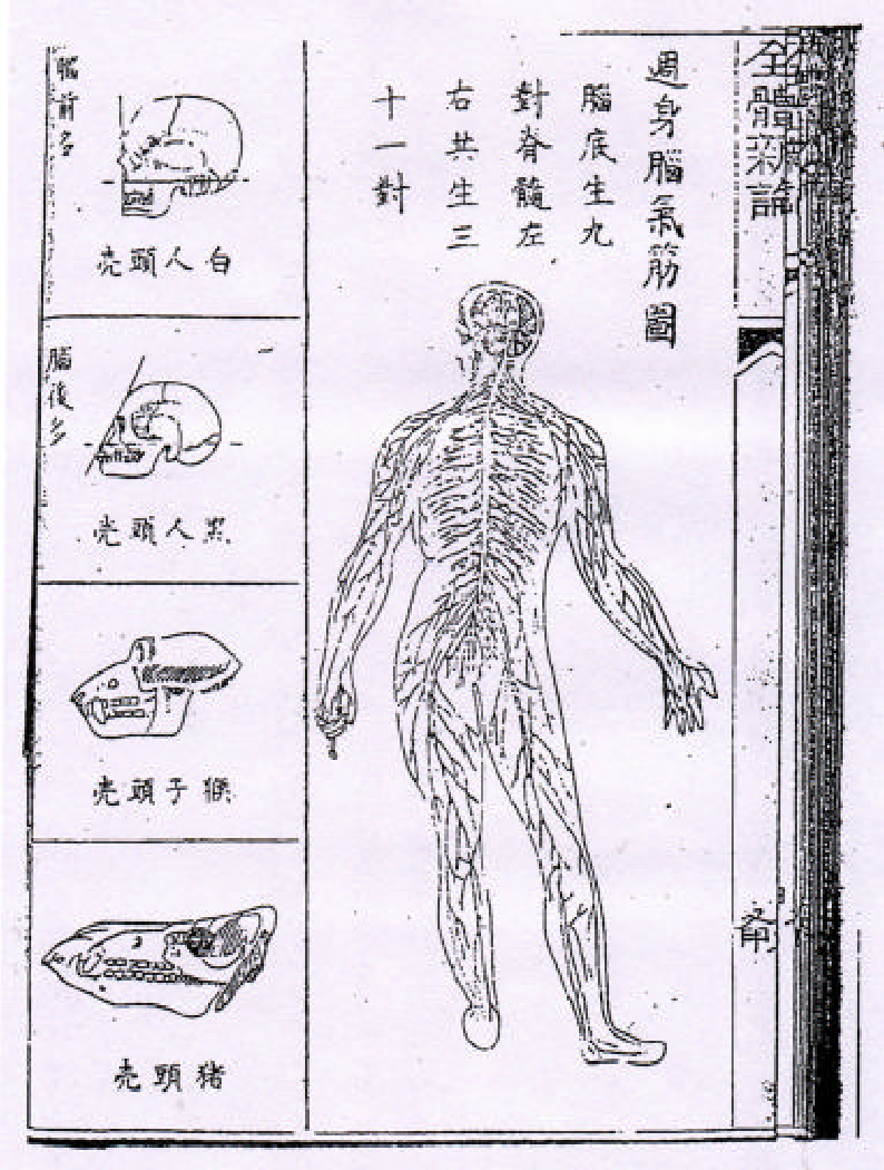 info-image