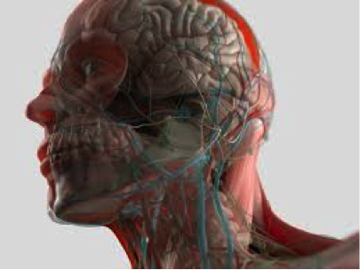info-image