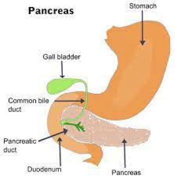 info-image