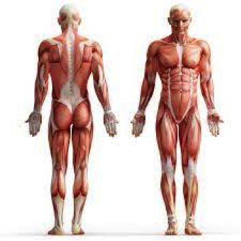 info-image