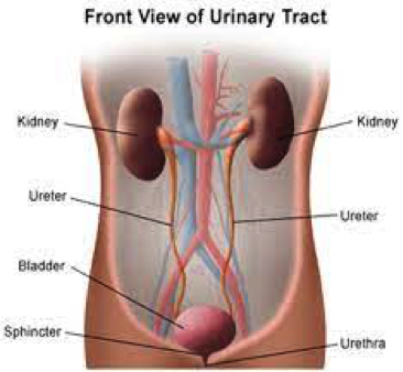info-image